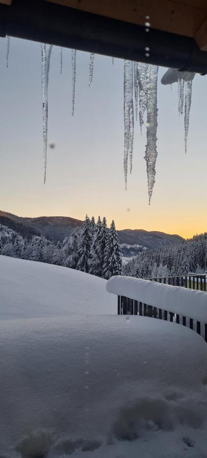 Penthouse Skyview Im Natur-Erlebnispark Bad Kleinkirchheim Patergassen Buitenkant foto